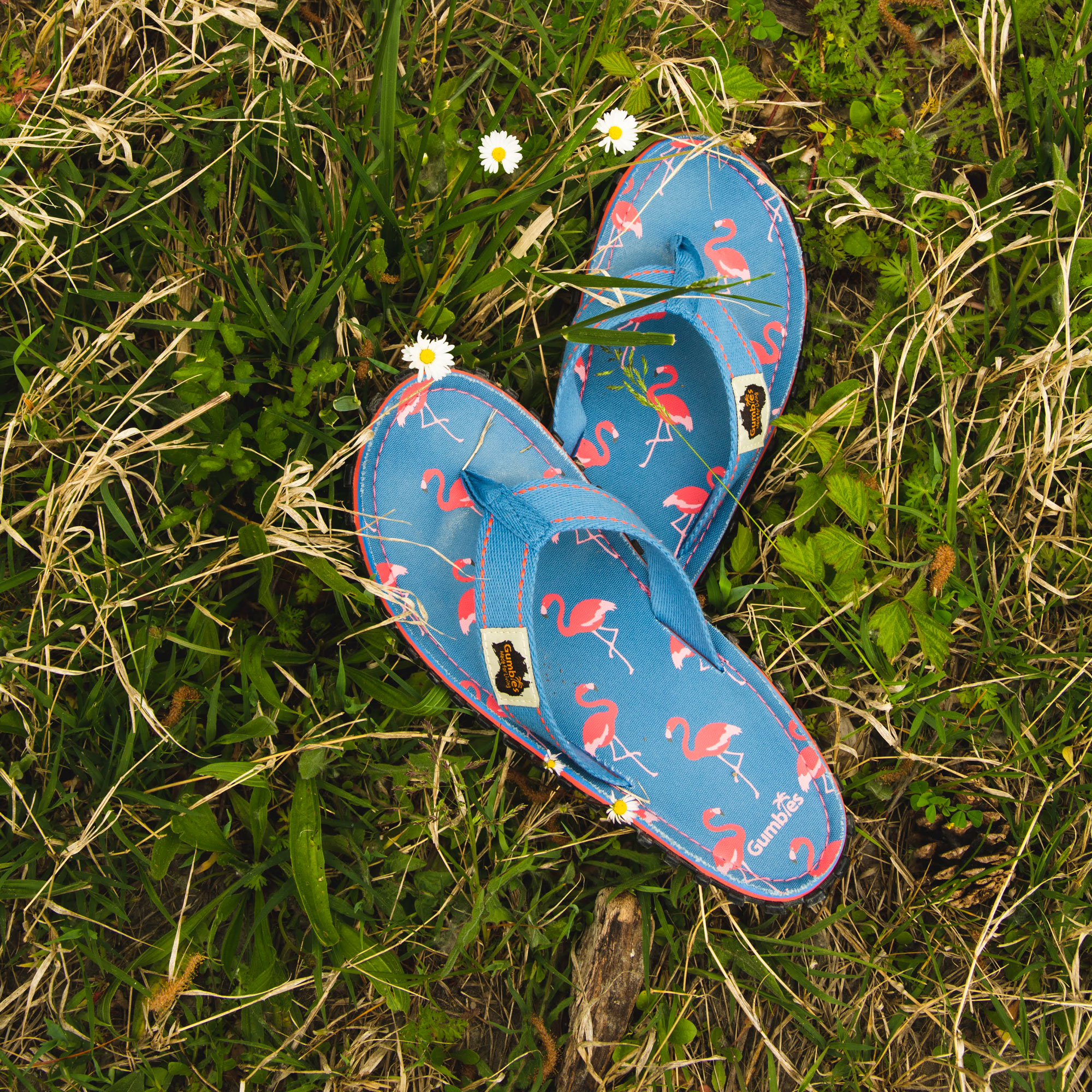 Flamingo – Original Flip Flops